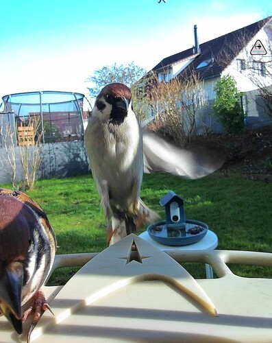 d7cf3550-e34a-48dc-b45e-376fa854c565_image_marker(1)