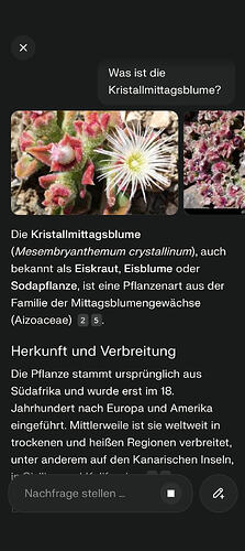 Screenshot_2026-02-20-21-45-47-51_4159553c7f58296d2732e906959db560