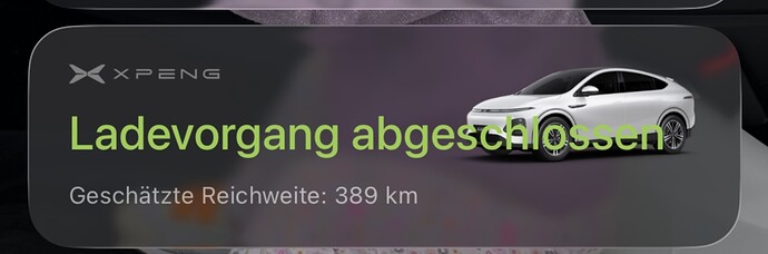 IMG_4577.PNG