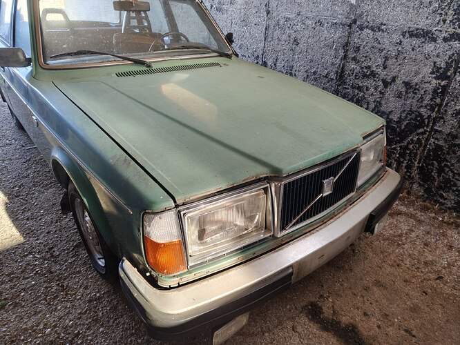 photo_3_2026-01-12_10-35-33