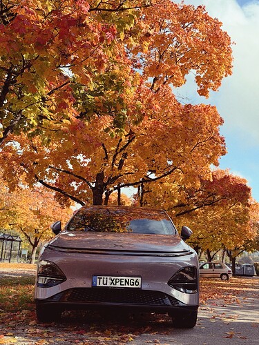 Facetune_16-10-2025-16-01-30