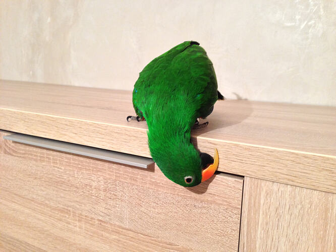 IMG3790