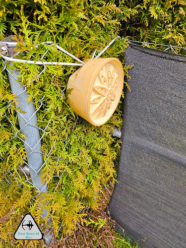 20250228_142356-1152x1536