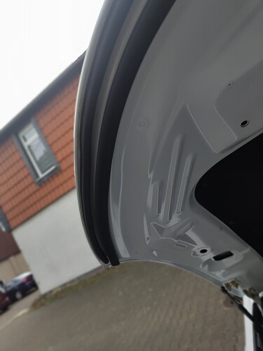 Haube vorn