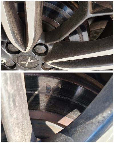 InCollage_20260306_082915373