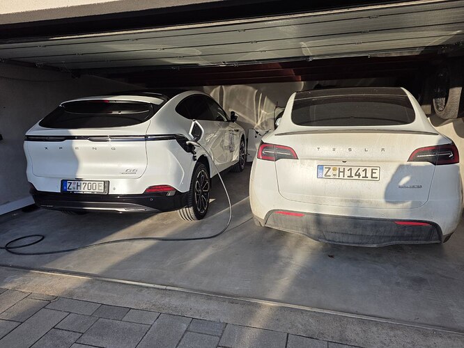 photo_2026-03-06_17-12-43