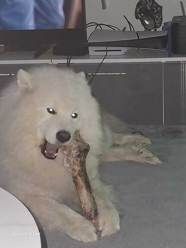 IMG-20260529-WA0062