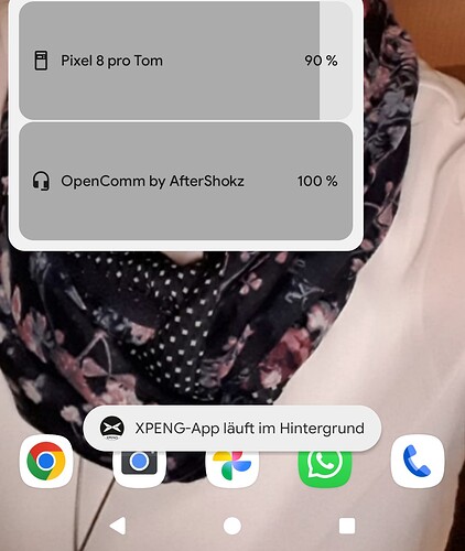 Screenshot_20251230-125116~2