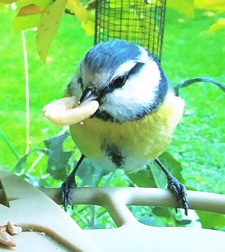 c655e552-60e9-41f1-8534-b72710adb29b_image_marker(1)(1)