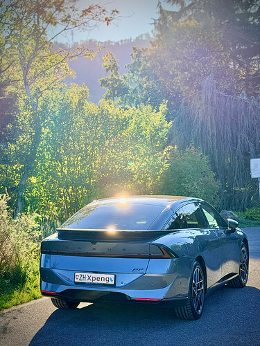 P7+_1
