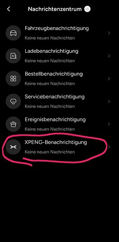 Screenshot_20260903_134331_XPENG