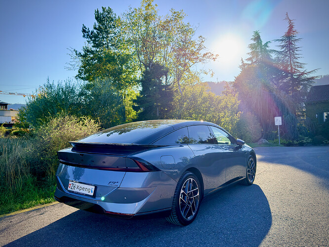 P7+_2
